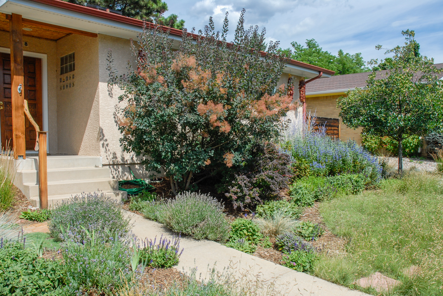 Southwest Spin Xeriscape